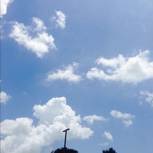 Meet your Posher, Tram anh